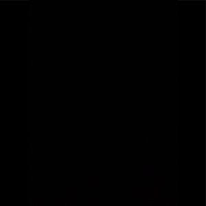 Meet your Posher, Ashlie